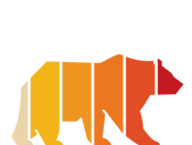 Bushsavvy-Logo_No Shield